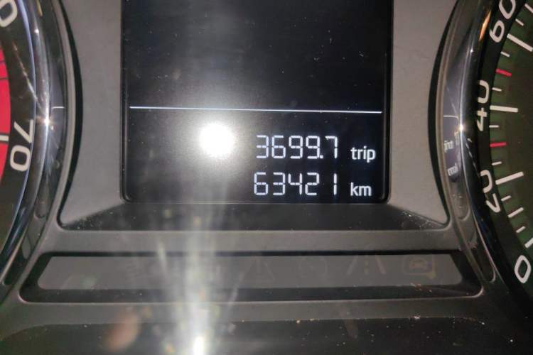 Used Skoda Octavia 2019 1.5L Automatic SmartDrive Comfort Edition China V Standard Odometer Close Up