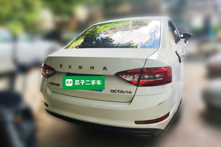 Used Skoda Octavia 2019 TSI230 DSG SmartDrive Comfort Edition China V Standard Rear