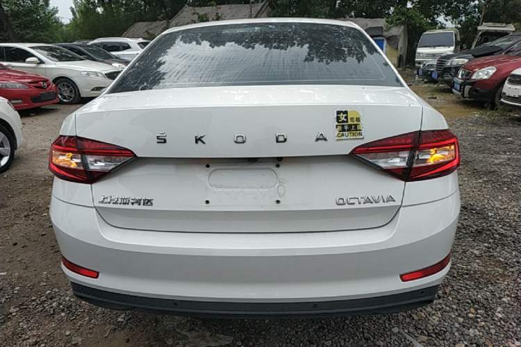 Used Skoda Octavia 2019 1.5L Automatic SmartDrive Comfort Edition China VI Standard Rear