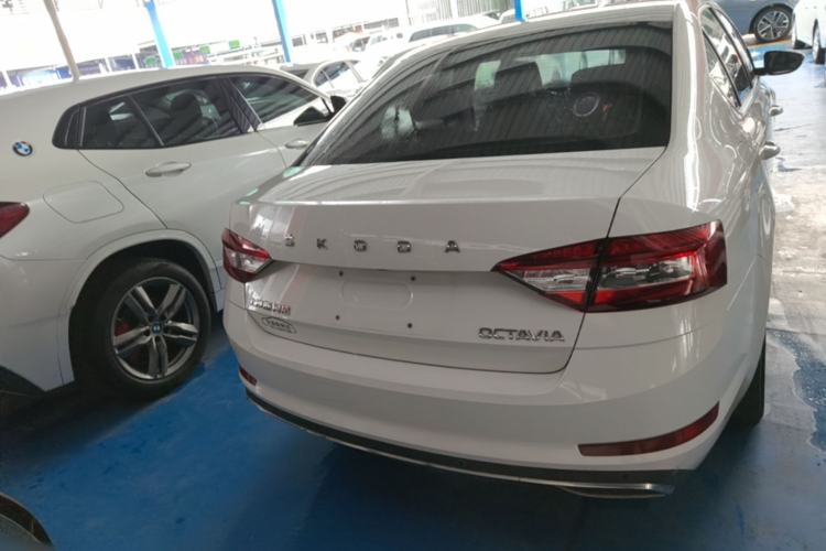 Used Skoda Octavia 2019 1.5L Automatic Smart Drive Luxury Edition China V Standard Rear