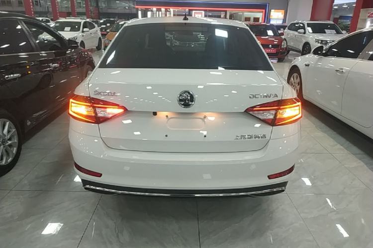 Used Skoda Octavia 2019 1.5L Automatic Comfort Edition Rear