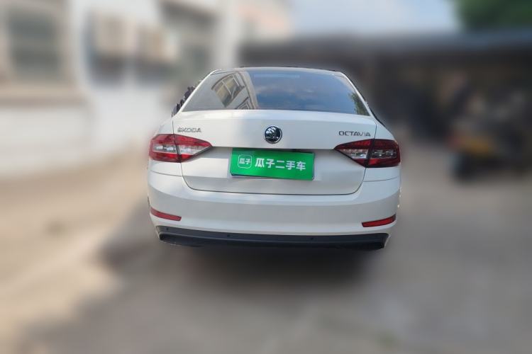 Used Skoda Octavia 2019 1.5L Automatic Comfort Edition Rear