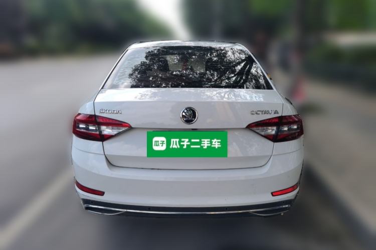 Used Skoda Octavia 2019 1.5L Automatic Luxury Edition Rear