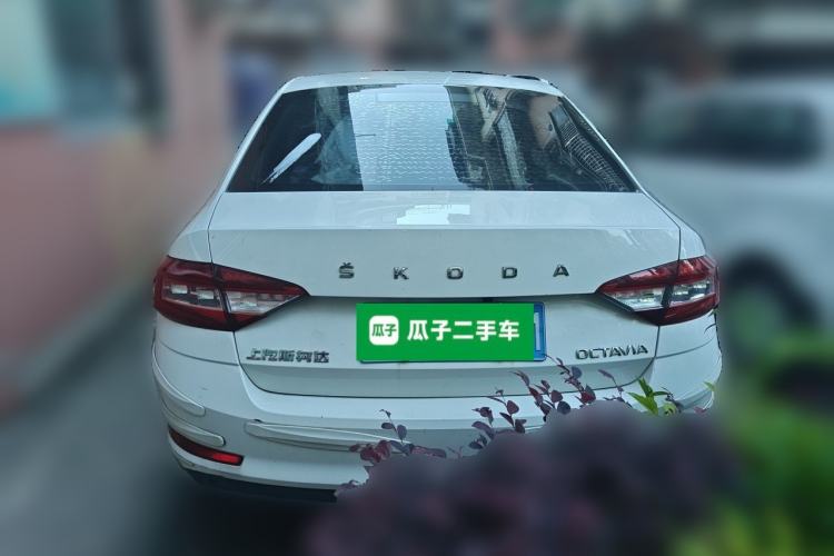 Used Skoda Octavia 2019 1.5L Automatic SmartDrive Comfort Edition China V Standard Rear