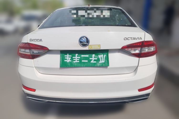 Used Skoda Octavia 2019 1.5L Automatic Smart Drive Luxury Edition China V Standard Rear