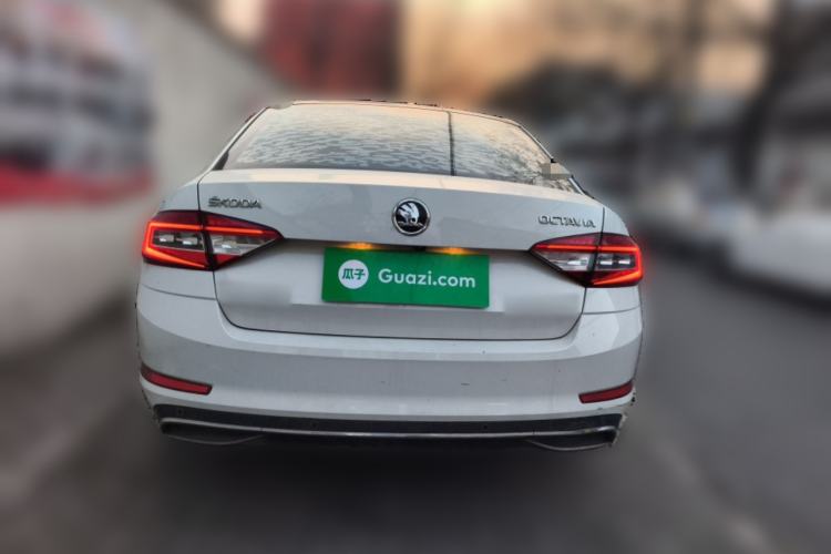 Used Skoda Octavia 2019 TSI280 DSG Luxury Edition Rear
