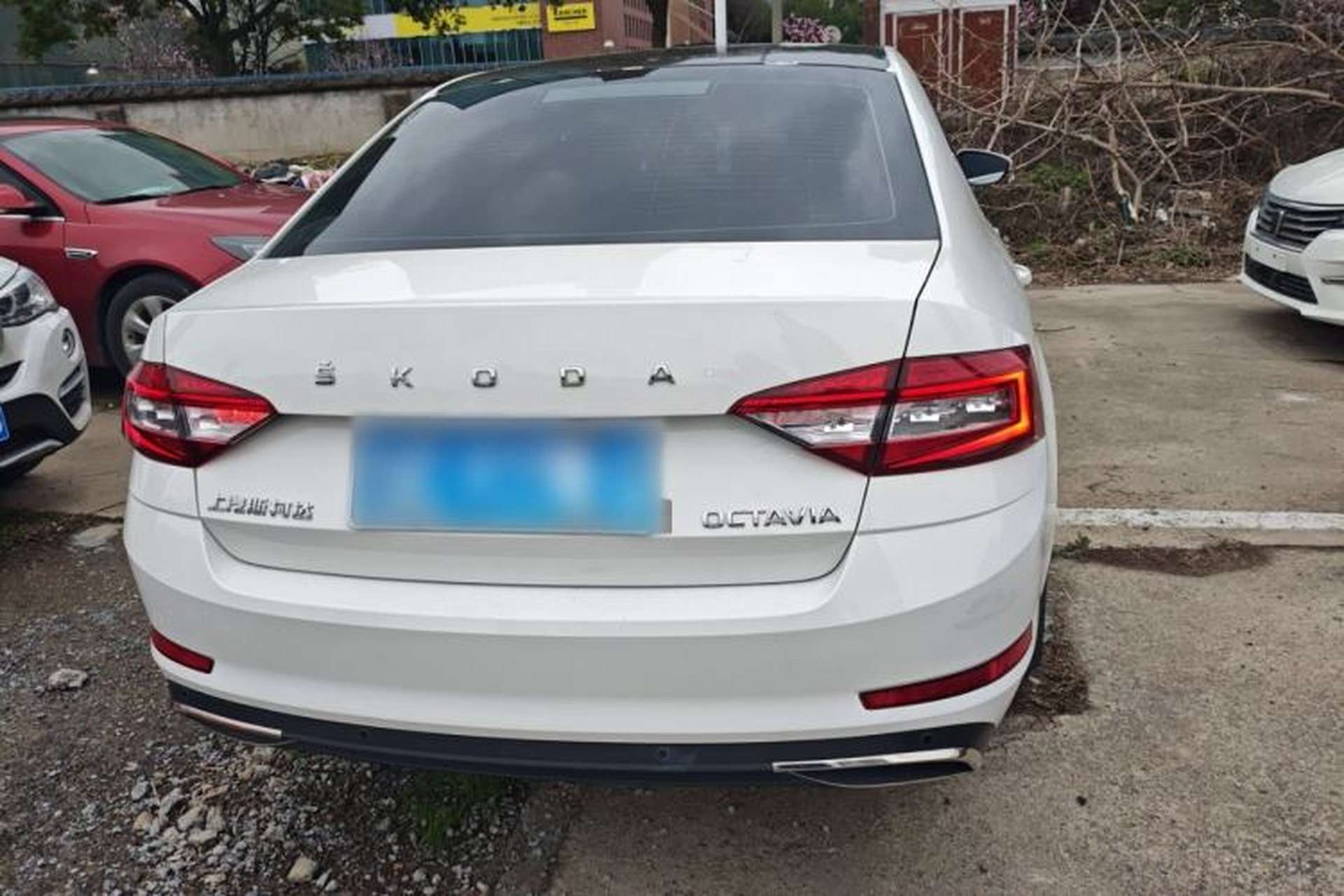 Used Skoda Octavia 2019 TSI230 DSG Smart & Comfort Edition China VI Standard Rear