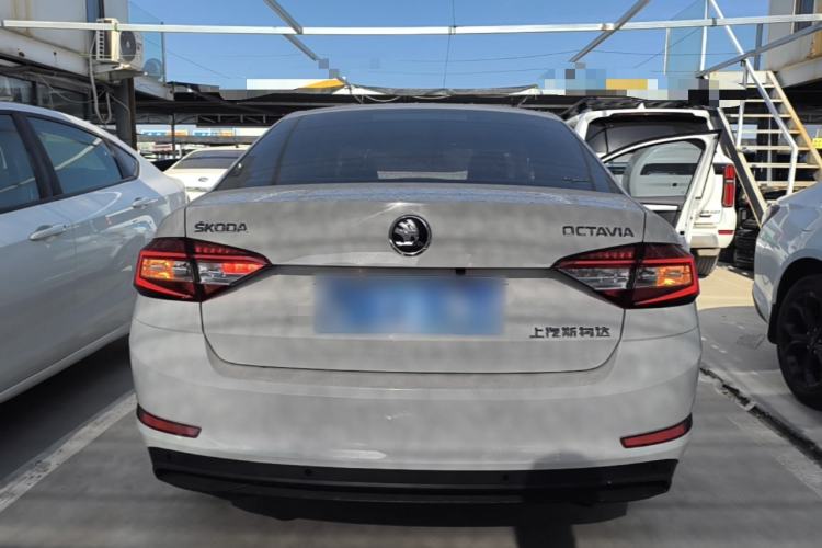 Used Skoda Octavia 2019 1.5L Automatic Comfort Edition Rear