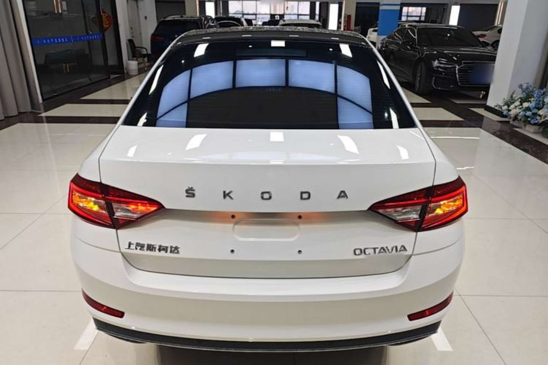Used Skoda Octavia 2019 TSI280 DSG Luxury Edition Rear