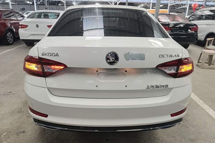Used Skoda Octavia 2019 1.5L Automatic Luxury Edition Rear