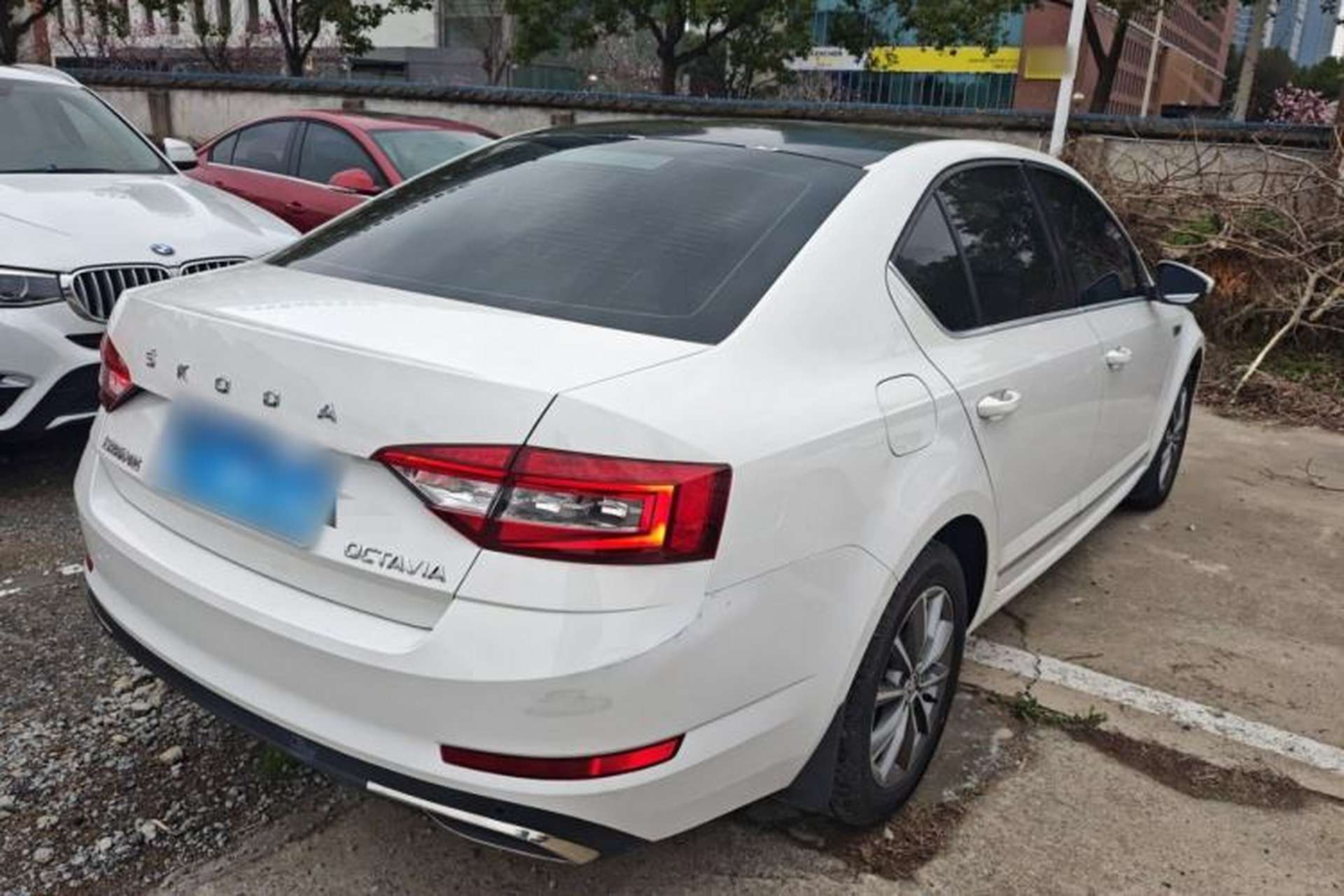 Used Skoda Octavia 2019 TSI230 DSG Smart & Comfort Edition China VI Standard Rear Right 45 Deg
