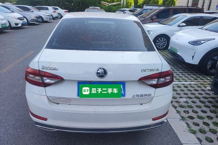 Used Skoda Octavia 2019 1.5L Automatic Luxury Edition Rear