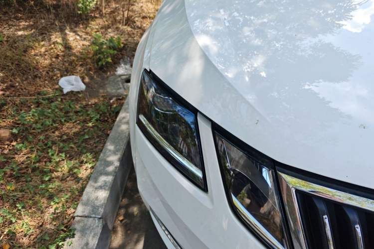 Used Skoda Octavia 2019 TSI280 DSG SmartDrive Luxury Edition China V Standard Right Front Headlight