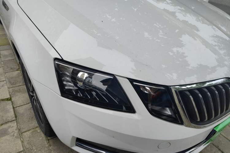 Used Skoda Octavia 2019 TSI230 DSG Luxury Edition Right Front Headlight