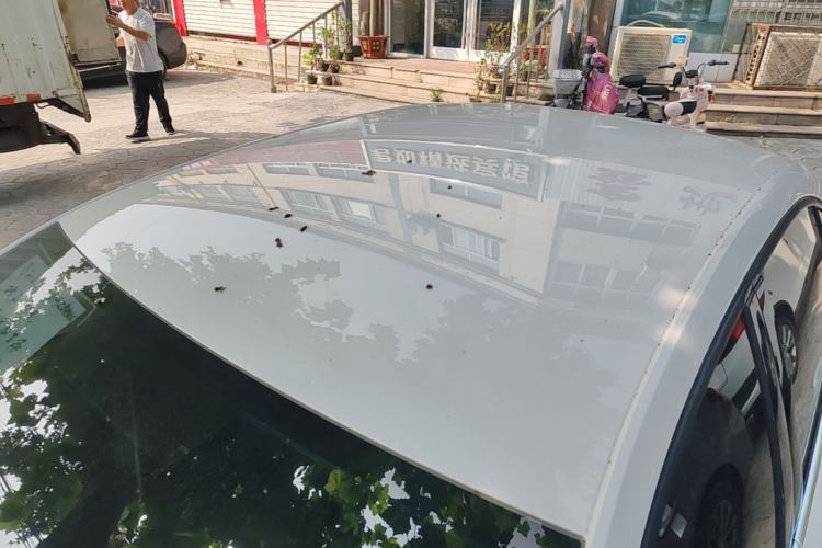 Used Skoda Octavia 2019 TSI230 DSG Smart & Comfort Edition China VI Standard Roof
