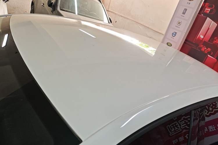 Used Skoda Octavia 2019 1.5L Automatic Comfort Edition Roof