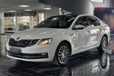 Used Skoda Octavia 2019 TSI230 DSG SmartDrive Luxury Edition China VI