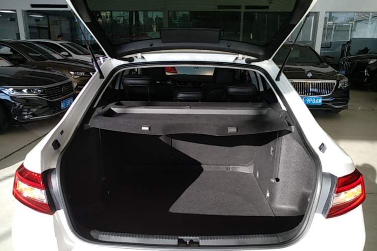 Used Skoda Octavia 2019 TSI230 DSG Luxury Edition Trunk