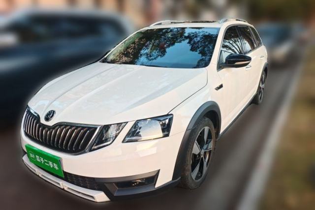 Used Skoda Octavia 2019 TSI280 DSG Luxury Edition Station Wagon China VI Standard