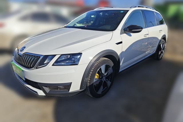 Used Skoda Octavia 2019 TSI280 DSG Luxury Edition Station Wagon China VI Standard