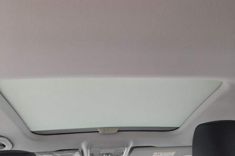 Used Skoda Octavia 2019 1.5L Automatic Luxury Edition Headliner