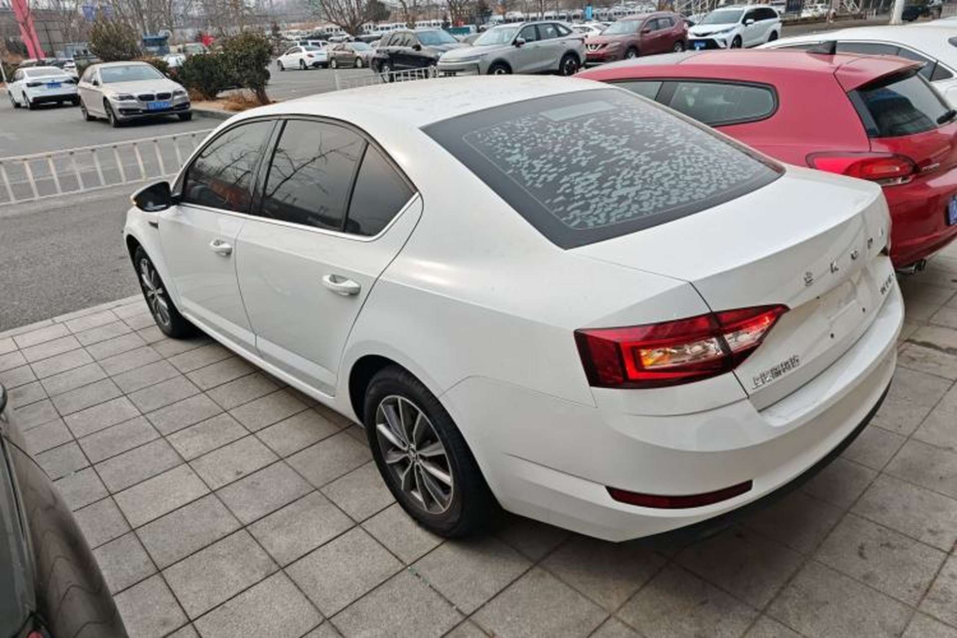 Used Skoda Octavia 2020 1.5L Automatic SmartDrive Comfort Edition Rear Left 45 Deg
