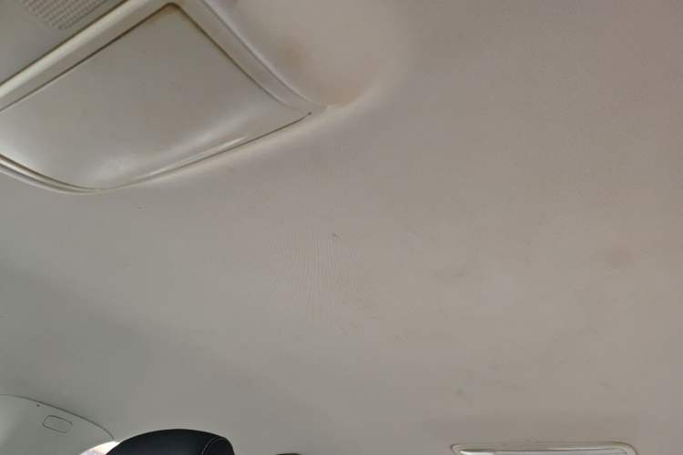 Used Skoda Octavia 2021 1.5L Automatic Comfort Edition Headliner