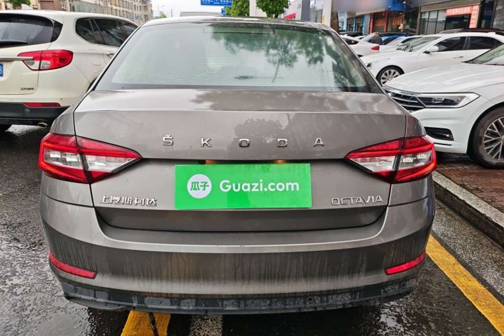 Used Skoda Octavia 2021 1.5L Automatic Comfort Edition Rear