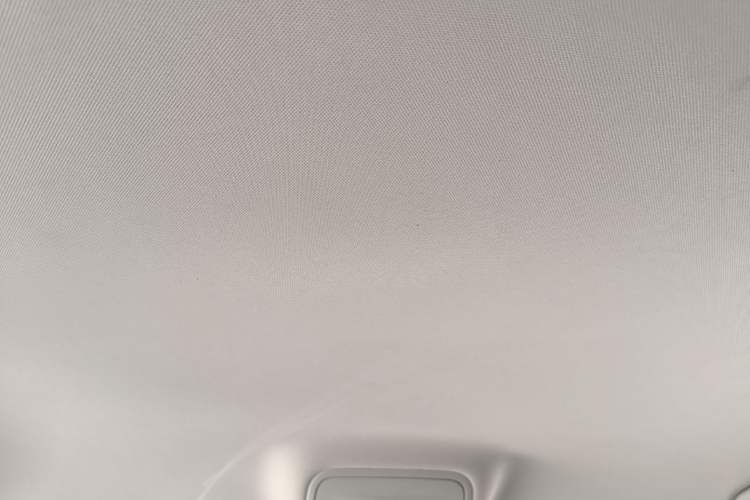 Used Skoda Octavia 2021 1.5L Automatic Comfort Edition Headliner