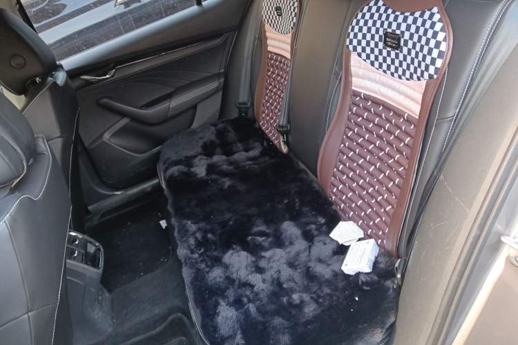 Used Skoda Octavia 2021 PRO TSI280 DSG Luxury Edition Left Rear Seat