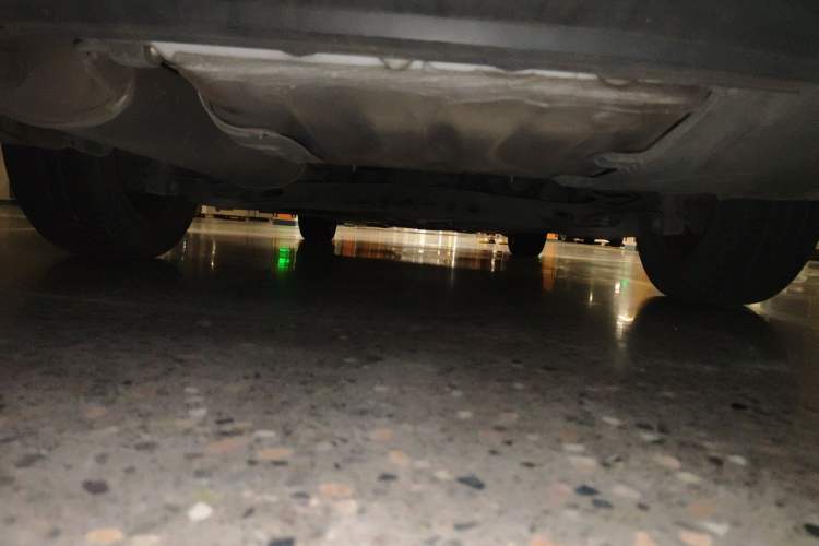 Used Skoda Octavia 2021 1.5L Automatic Comfort Edition Chassis Rear