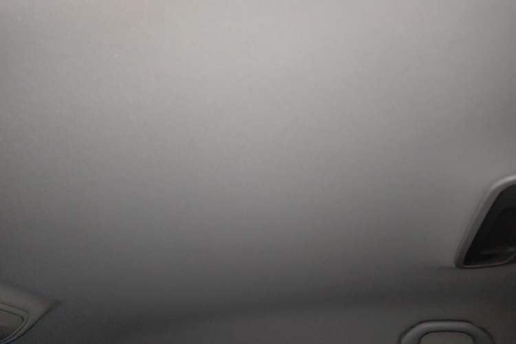 Used Skoda Octavia 2021 1.5L Automatic Comfort Edition Headliner