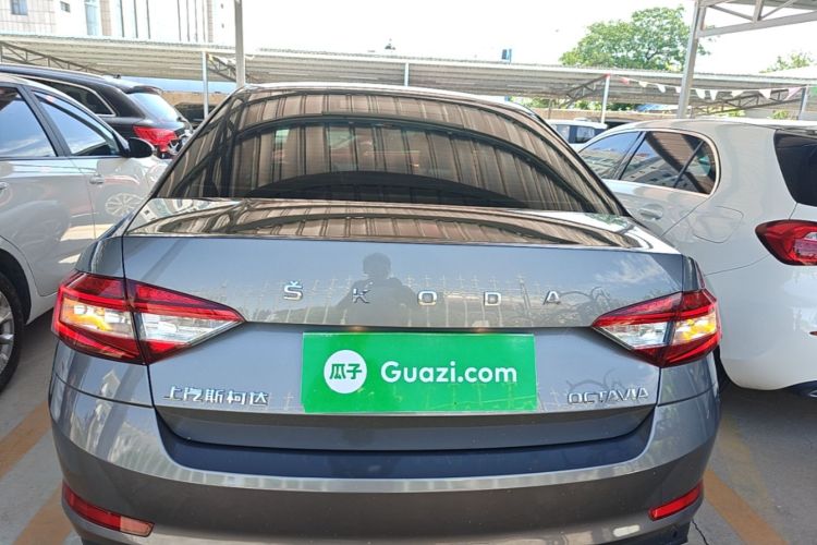 Used Skoda Octavia 2022 1.5L Automatic Comfort Edition Rear
