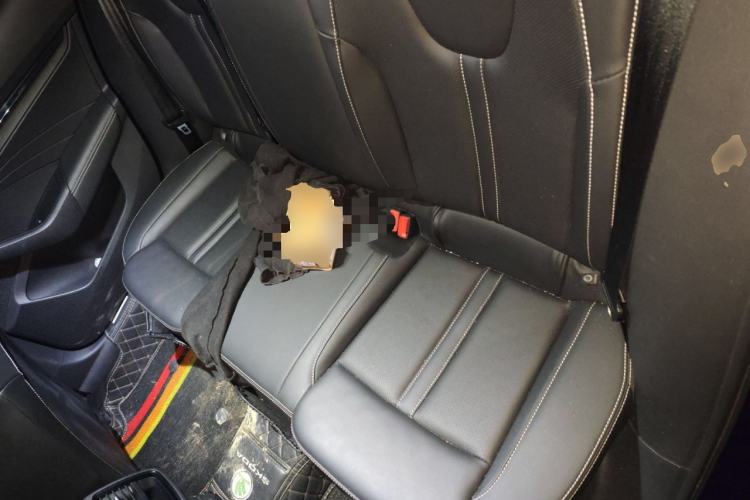 Used Skoda Octavia 2022 PRO TSI280 Luxury Edition Left Rear Seat