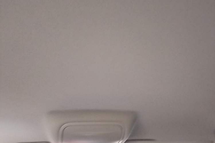 Used Skoda Octavia 2022 1.5L Automatic Comfort Edition Headliner