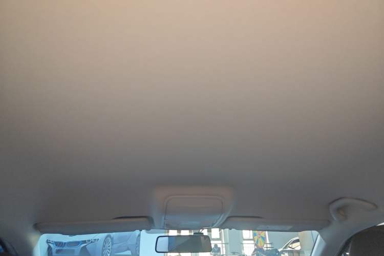 Used Skoda Octavia 2022 1.5L Automatic Comfort Edition Headliner