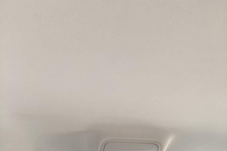 Used Skoda Octavia 2022 1.5L Automatic Comfort Edition Headliner