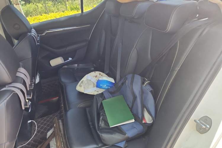 Used Skoda Octavia 2022 PRO TSI280 Luxury Edition Left Rear Seat