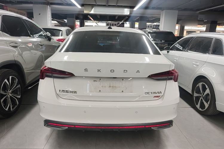 Used Skoda Octavia 2022 PRO TSI280 Luxury Edition Rear