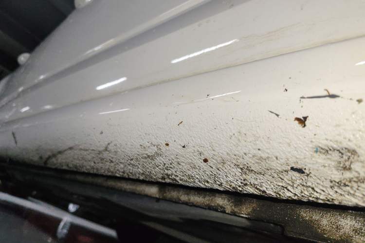 Used Skoda Octavia 2022 1.5L Automatic Comfort Edition Right Side Sill