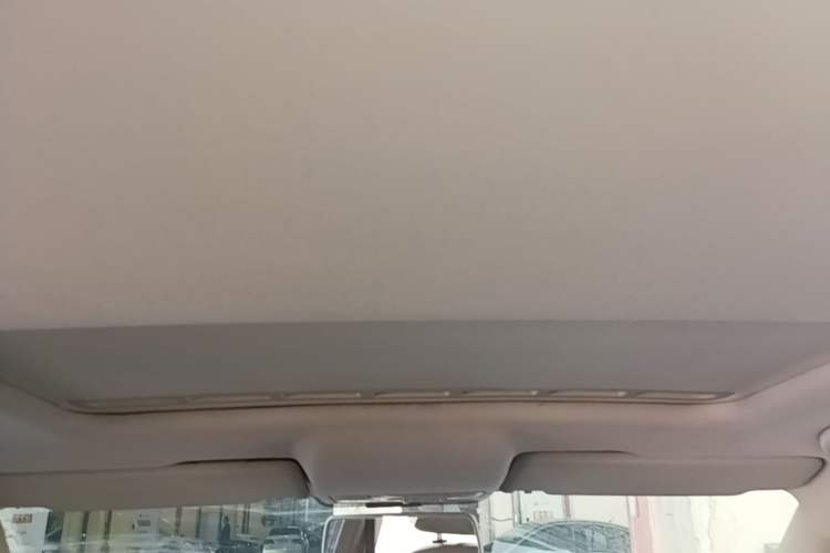 Used Skoda Rapid 2013 1.6L Automatic Smart Selection Model Headliner