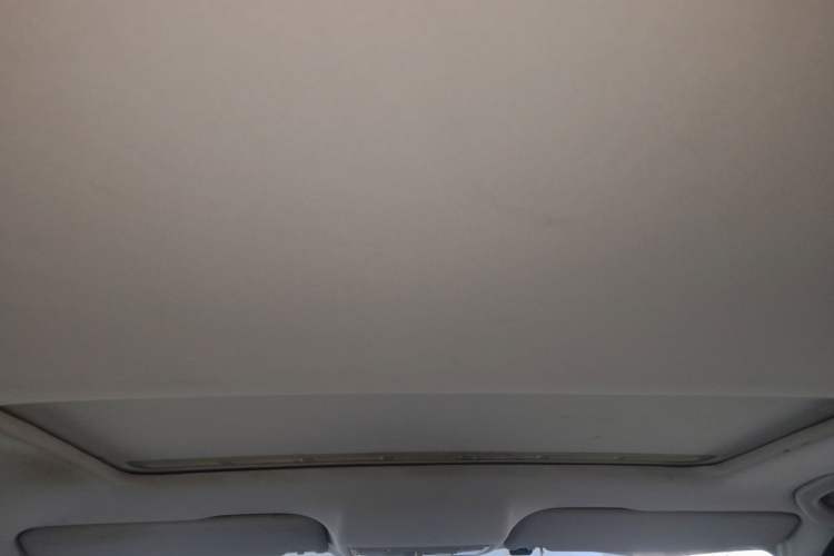 Used Skoda Rapid 2013 1.6L Manual Smart Selection Model Headliner