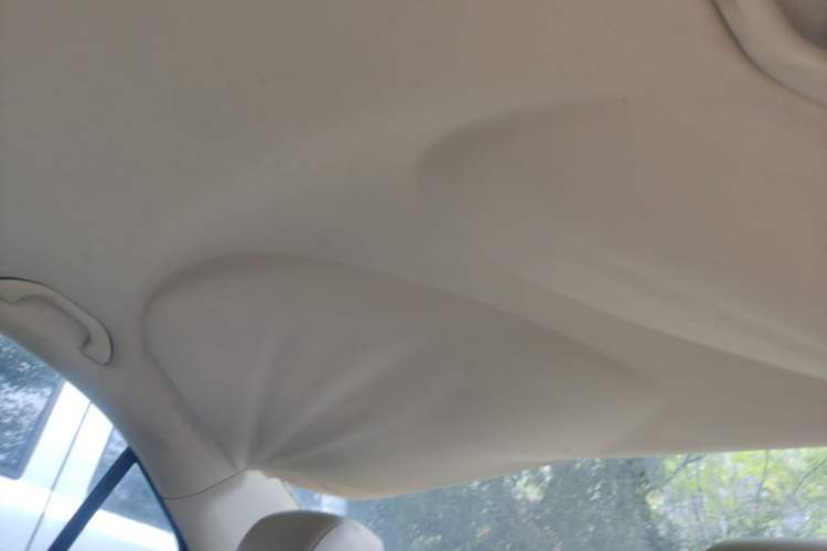 Used Skoda Rapid 2013 1.6L Automatic Smart Selection Model Headliner