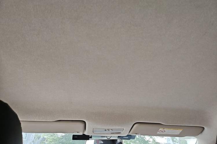 Used Skoda Rapid 2016 1.6L Automatic Front-Wheel Drive Model Headliner