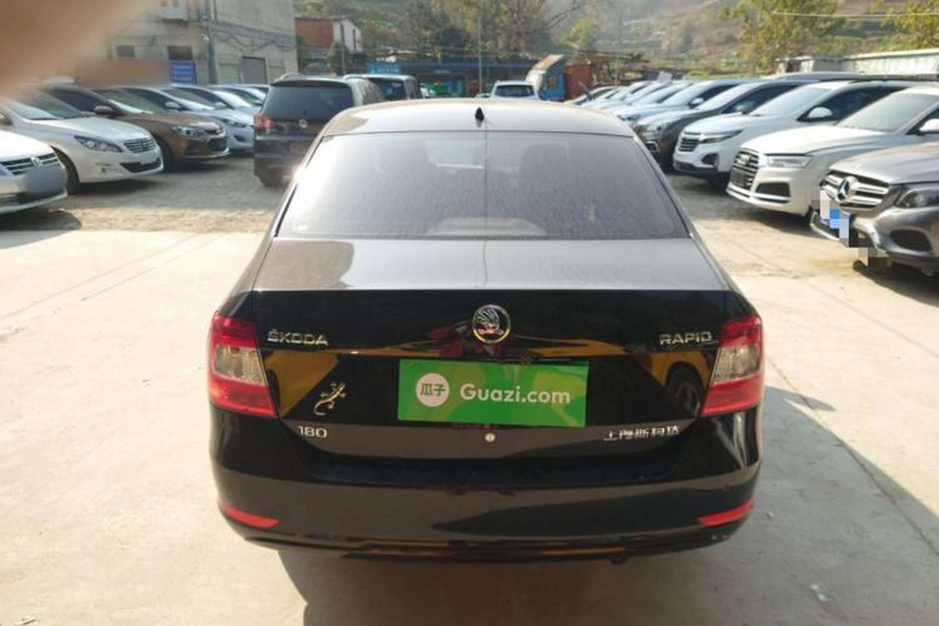 Used Skoda Rapid 2016 1.6L Manual Trend Edition Rear