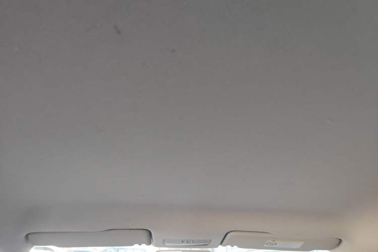 Used Skoda Rapid 2016 1.4L Manual Front-Wheel Drive Model Headliner