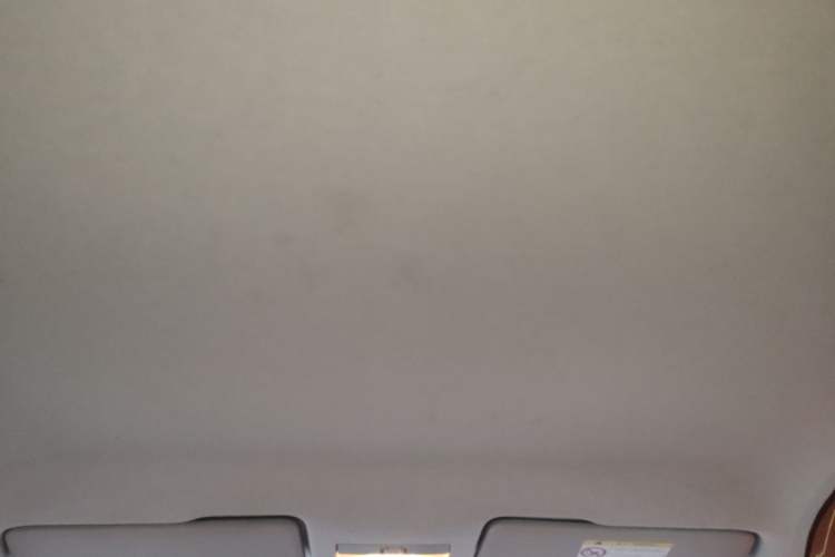 Used Skoda Rapid 2016 1.6L Automatic Front-Wheel Drive Model Headliner