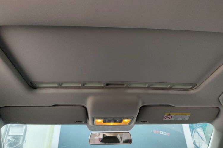 Used Skoda Rapid 2018 1.6L Automatic Comfort Edition Headliner