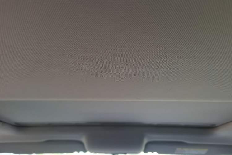 Used Skoda Rapid 2018 1.6L Automatic Comfort Edition Headliner