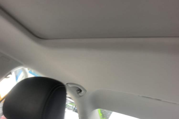 Used Skoda Rapid 2018 1.6L Automatic Comfort Edition Headliner